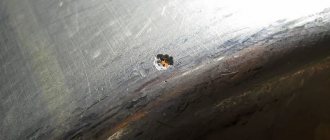 Hole in an aluminum pan.