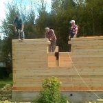Construction of a house from timber